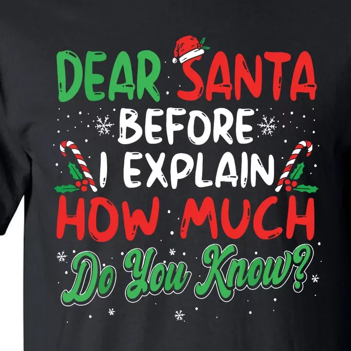 Dear Santa I Can Explain Funny Christmas Tall T-Shirt