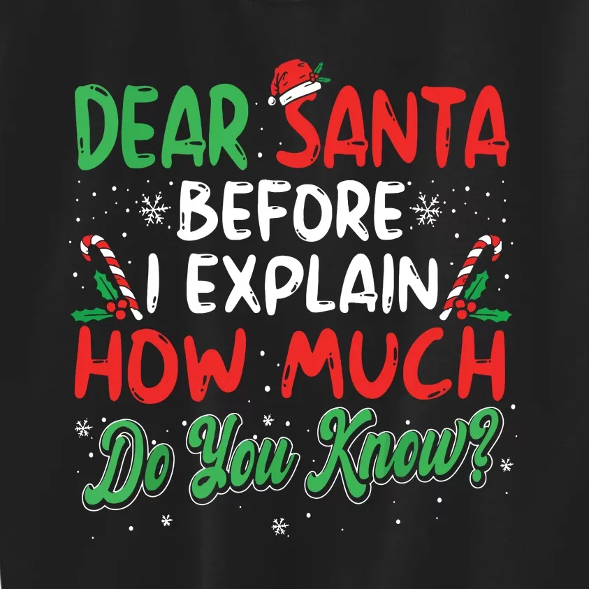 Dear Santa I Can Explain Funny Christmas Kids Sweatshirt