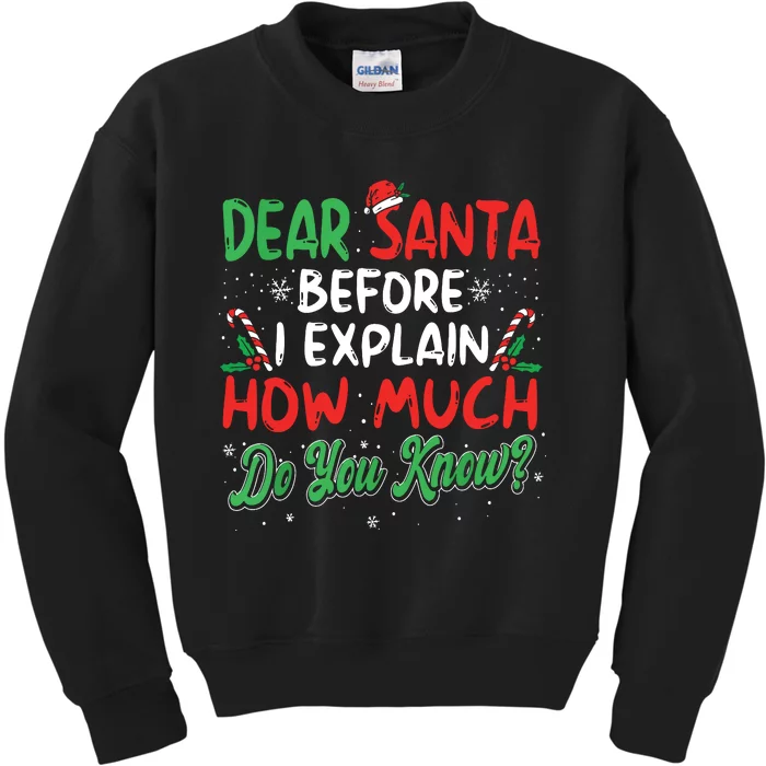 Dear Santa I Can Explain Funny Christmas Kids Sweatshirt