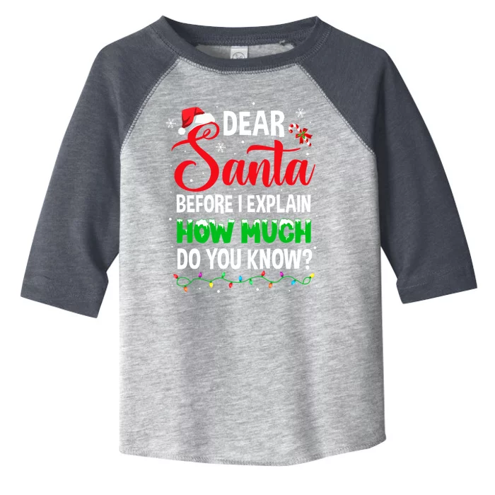 Dear Santa I Can Explain Funny Christmas Adults Gift Toddler Fine Jersey T-Shirt