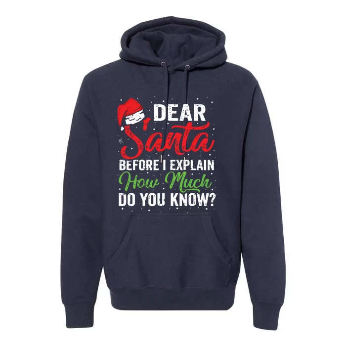 Dear Santa I Can Explain Funny Christmas Adults Premium Hoodie