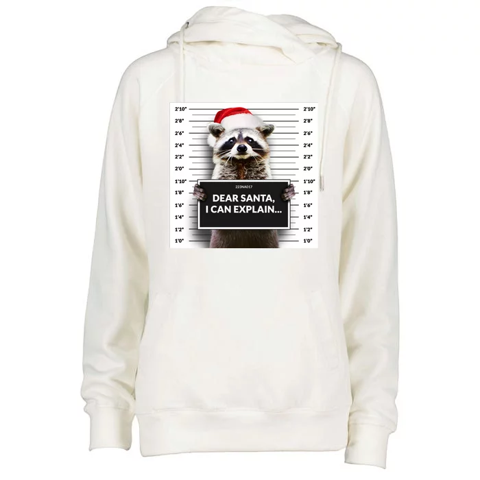 Dear Santa I Can Explain Funny Christmas Raccoon Meaningful Gift Womens Funnel Neck Pullover Hood