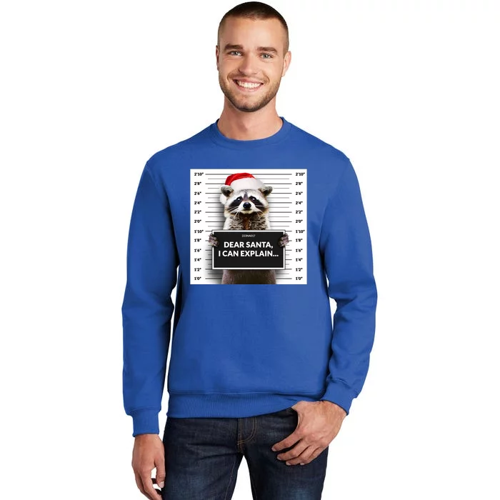 Dear Santa I Can Explain Funny Christmas Raccoon Meaningful Gift Tall Sweatshirt