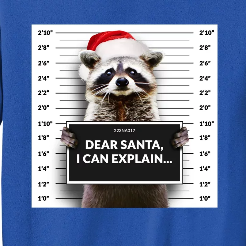 Dear Santa I Can Explain Funny Christmas Raccoon Meaningful Gift Tall Sweatshirt