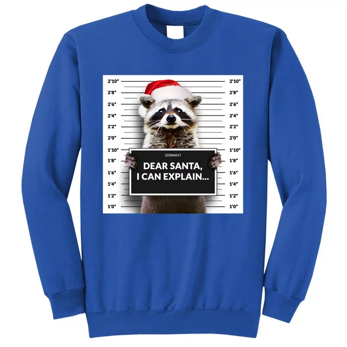 Dear Santa I Can Explain Funny Christmas Raccoon Meaningful Gift Tall Sweatshirt