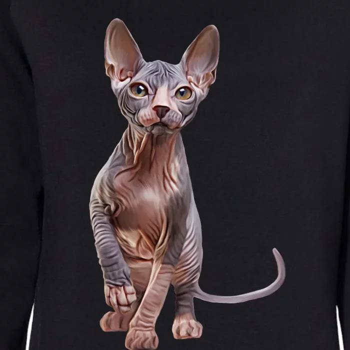 Drawing Sphynx Kitten Womens California Wash Sweatshirt