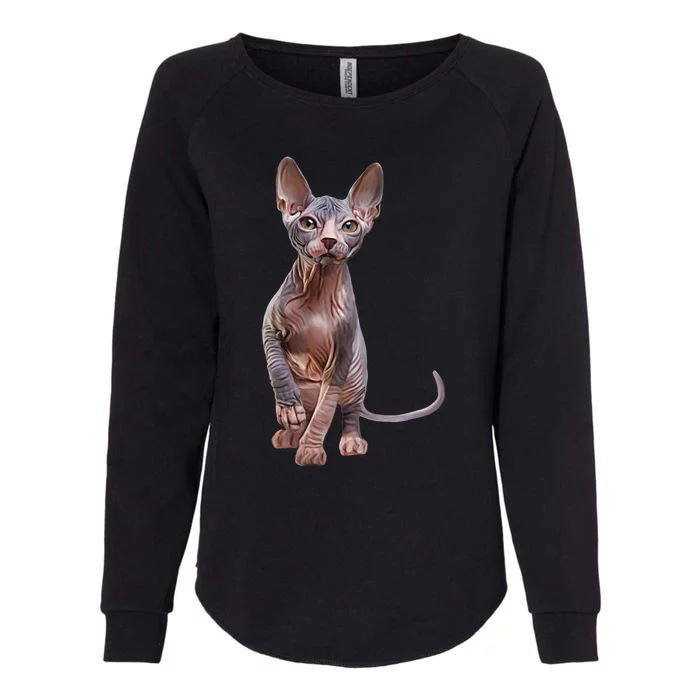 Drawing Sphynx Kitten Womens California Wash Sweatshirt