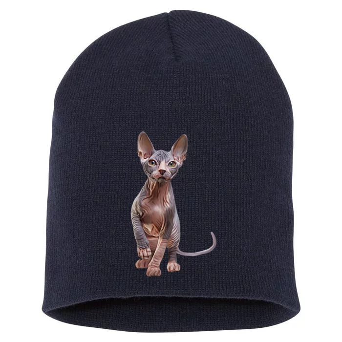 Drawing Sphynx Kitten Short Acrylic Beanie