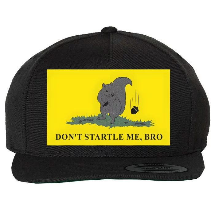 DonT Startle Me Bro Funny Squirrel Wool Snapback Cap