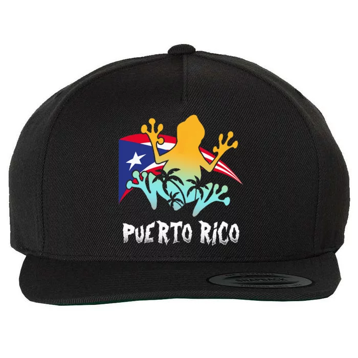 Distressed Style Puerto Rico Frog Gift Design Puerto Rico! Wool Snapback Cap