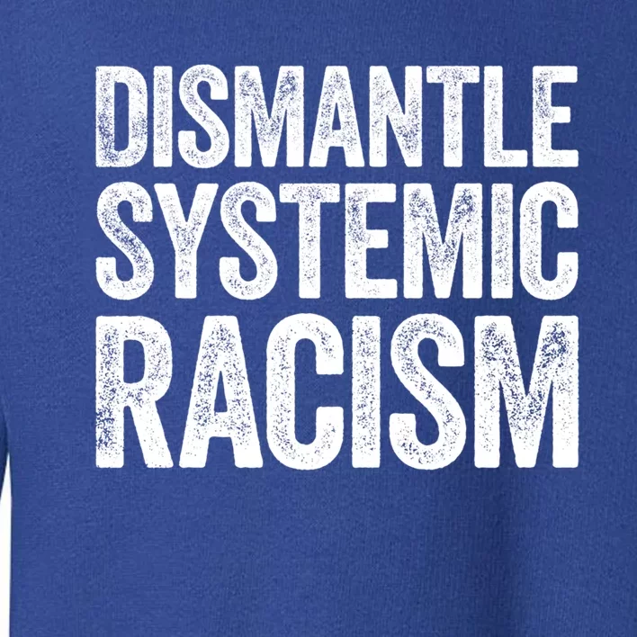 Distle Systemic Racism Gift Hu Rights Meaningful Gift Toddler Sweatshirt