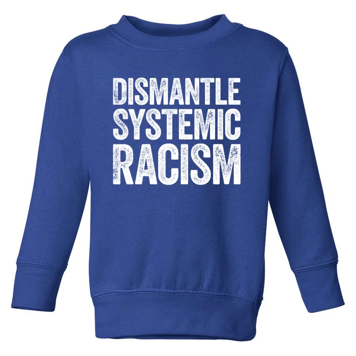 Distle Systemic Racism Gift Hu Rights Meaningful Gift Toddler Sweatshirt