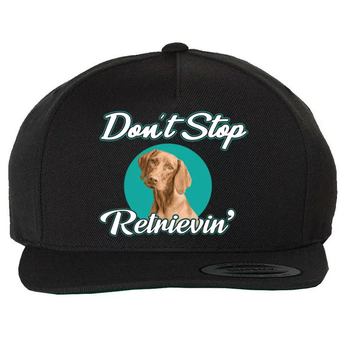 Dont Stop Retrievin Tee Gift Pet Lover Cute Gift Wool Snapback Cap