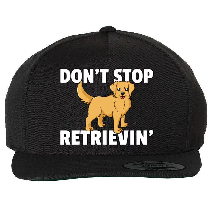 Dont Stop Retrievin For Golden Retriever Owner Gift Wool Snapback Cap