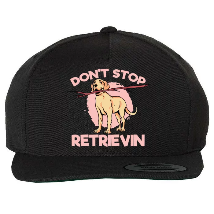 Dont Stop Retrievin Golden Retrievers Gift Wool Snapback Cap