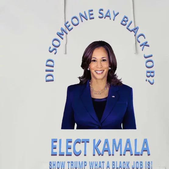 Did Someone Say Black Job Elect Kamala 2024 Performance Fleece Hoodie