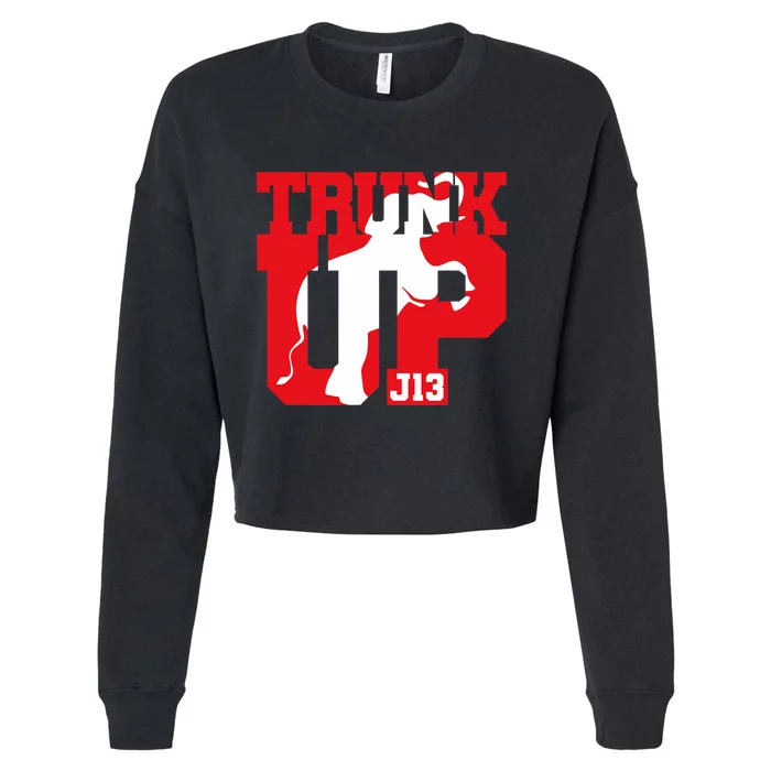 Delta Sigma Theta Sorority Deltaversary Foundation Day Cropped Pullover Crew