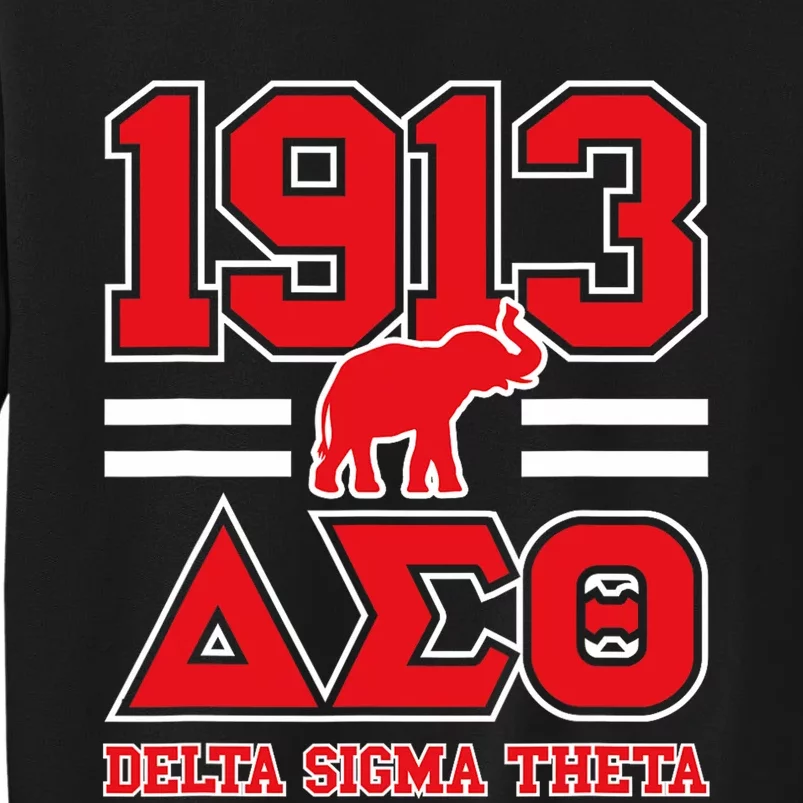 Delta Sigma Theta Sorority Paraphernalia Tall Sweatshirt