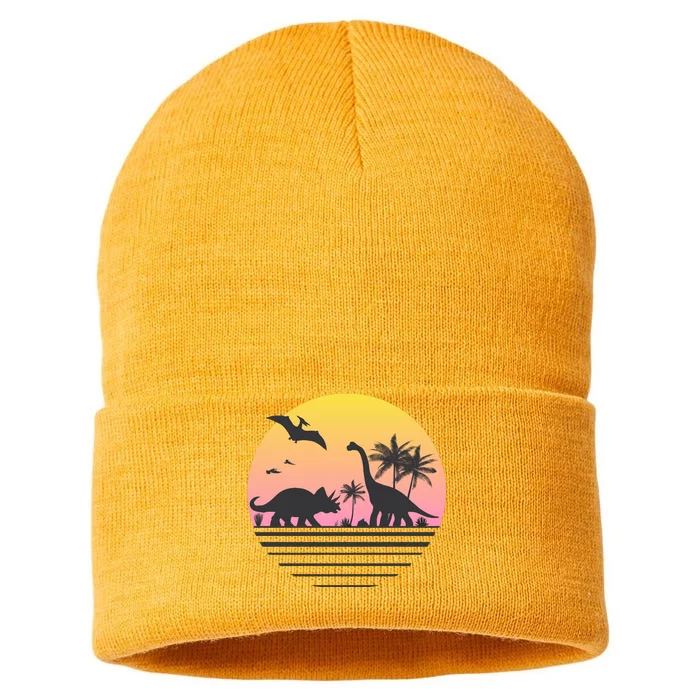 DINOSAURS SUNRISE VINTAGE Sustainable Knit Beanie