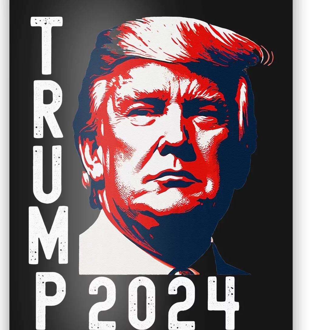 Donald Trump 2024 Take America Back Election 2024 Poster TeeShirtPalace