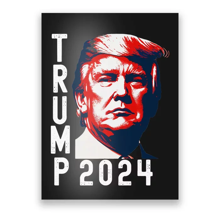 Donald Trump 2024 Take America Back Election 2024 Poster