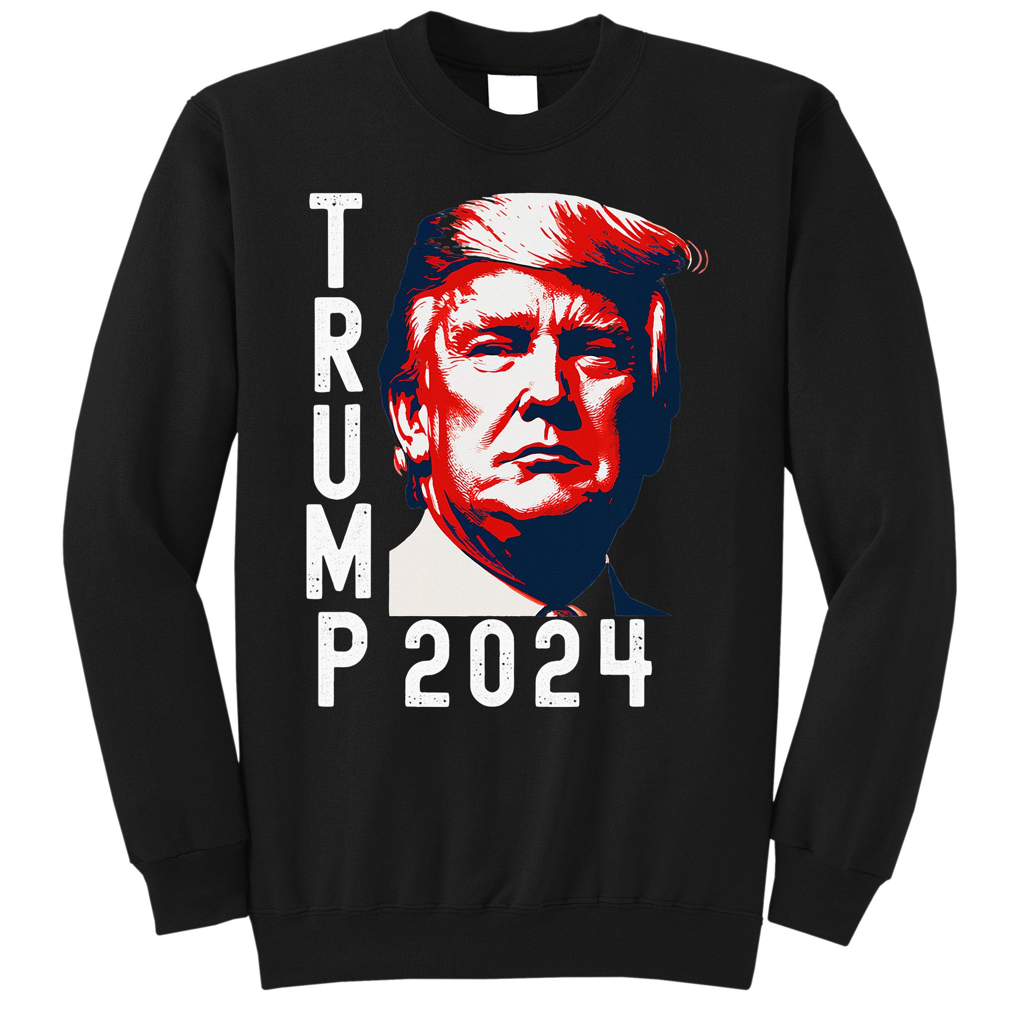 Donald Trump 2024 Take America Back Election 2024 Tall Sweatshirt ...