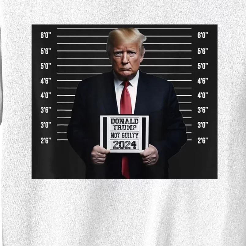 Donald Trump 2024 Not Guilty Trump Election Sweatshirt