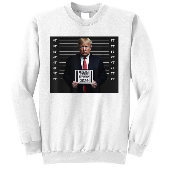 Donald Trump 2024 Not Guilty Trump Election Sweatshirt