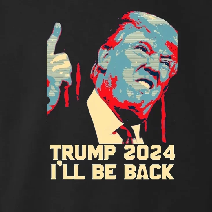 Donald Trump 2024 Take America Back USA United States Toddler Hoodie