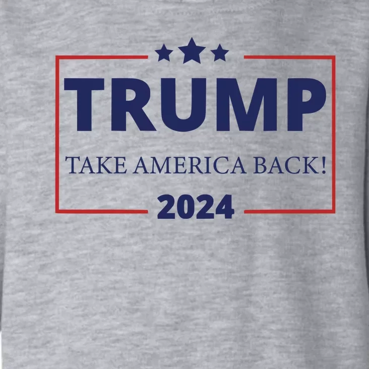 Donald Trump 2024 Take America Back USA United States Toddler Hoodie