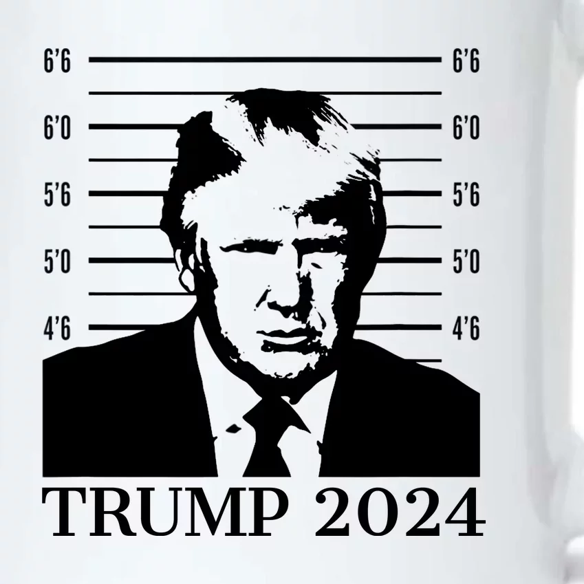 Donald Trump 2024 Mugshot Take America Back Usa Black Color Changing Mug