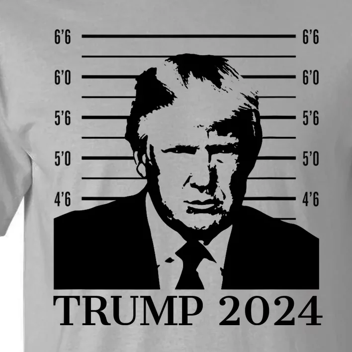 Donald Trump 2024 Mugshot Take America Back Usa Tall T-Shirt