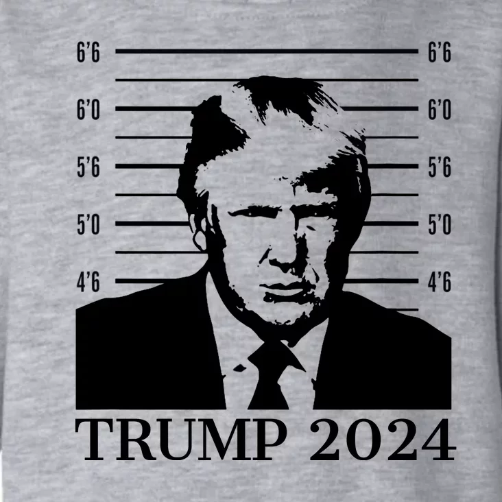 Donald Trump 2024 Mugshot Take America Back Usa Toddler Hoodie