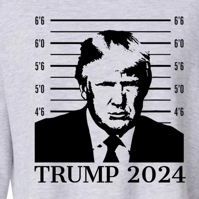 Donald Trump 2024 Mugshot Take America Back Usa Cropped Pullover Crew