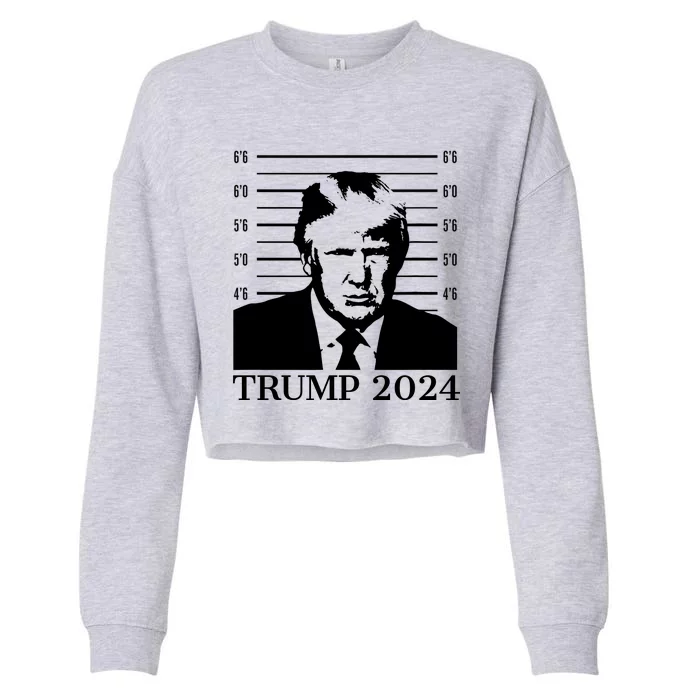 Donald Trump 2024 Mugshot Take America Back Usa Cropped Pullover Crew