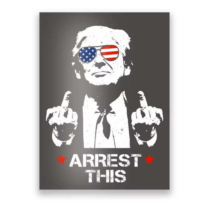 Donald Trump Arrest This Funny 2024 Election Poster