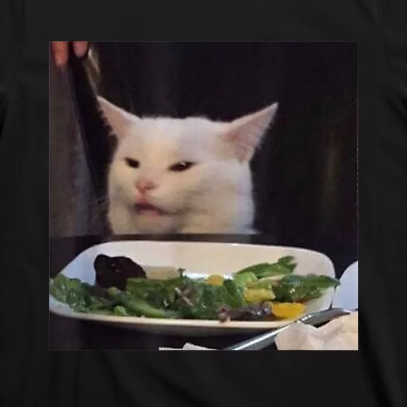 Dinner Table Cat Meme Funny Internet Yelling Confused Gift TShirt T-Shirt