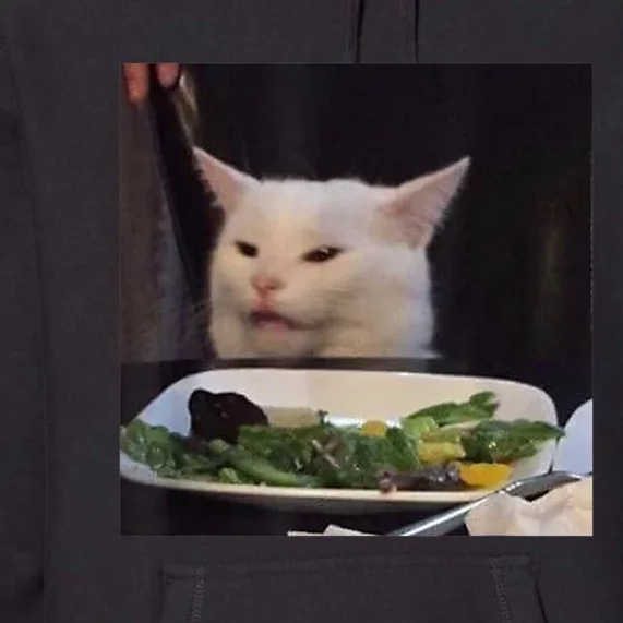 Dinner Table Cat Meme Funny Internet Yelling Confused Gift TShirt Premium Hoodie