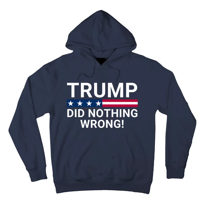 Donald Trump Did Nothing Wrong Hoodie