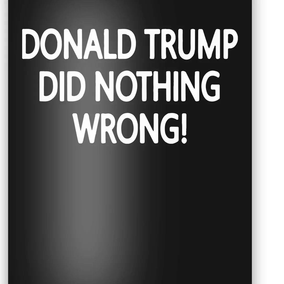 Donald Trump Did Nothing Wrong Poster