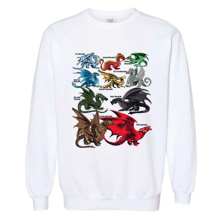 Dragon Types Dragon Lovers Women Men Gifts Garment-Dyed Sweatshirt