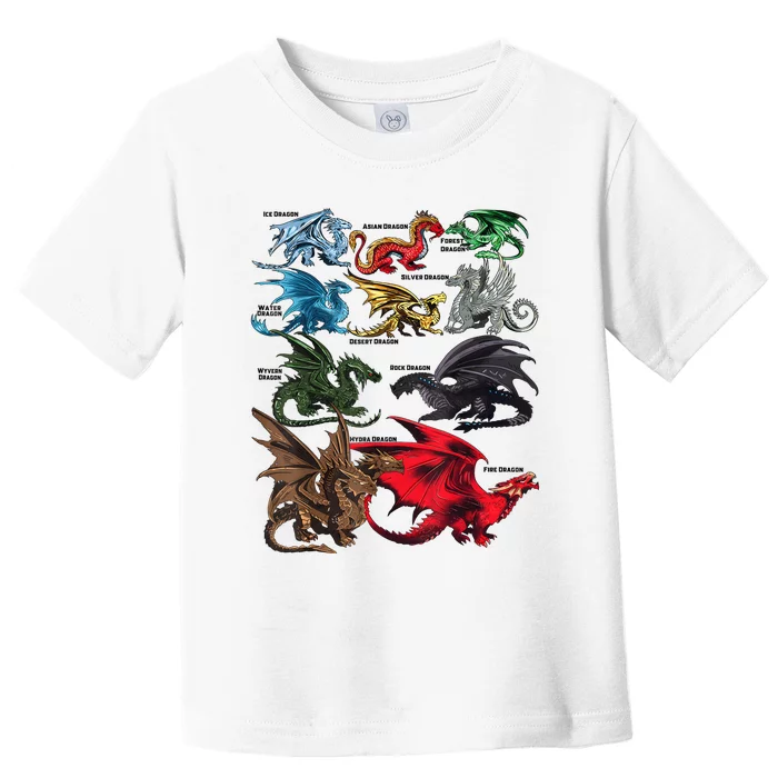 Dragon Types Dragon Lovers Women Men Gifts Toddler T-Shirt