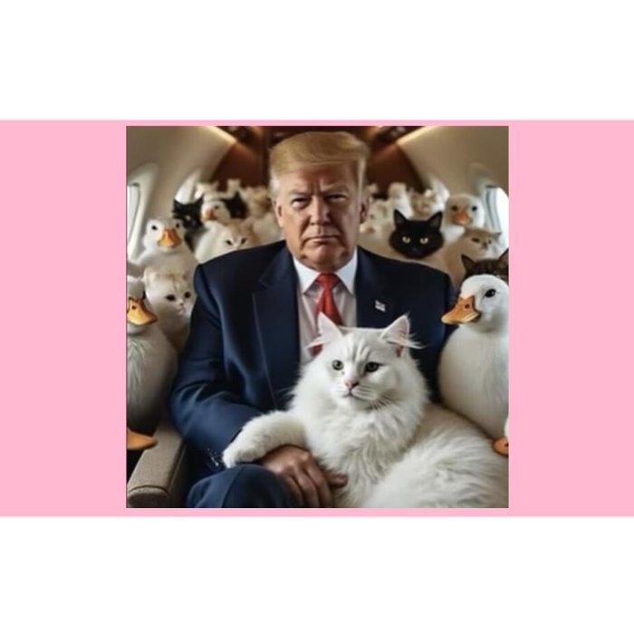 Donald Trump Duck Cat Vote 2024 Bumper Sticker