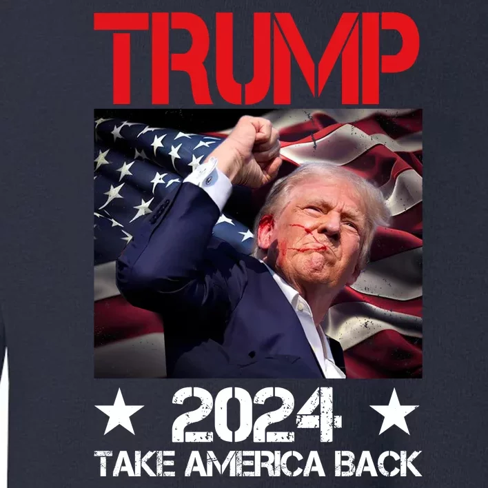 Donald Trump Fist Pump Take America Back 2024 Usa Toddler Sweatshirt