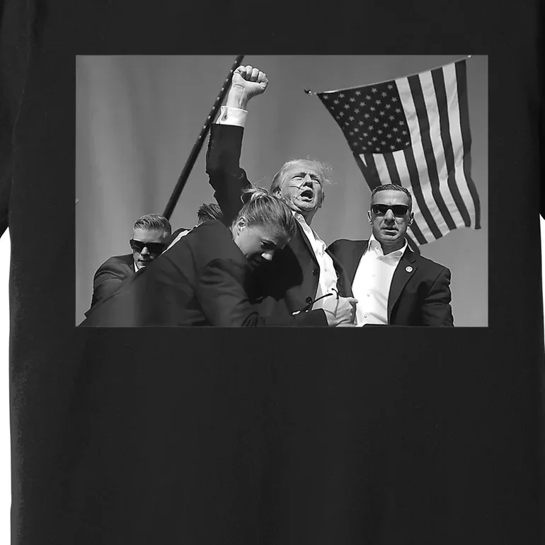 Donald Trump Fist Pump Gift Premium T-Shirt