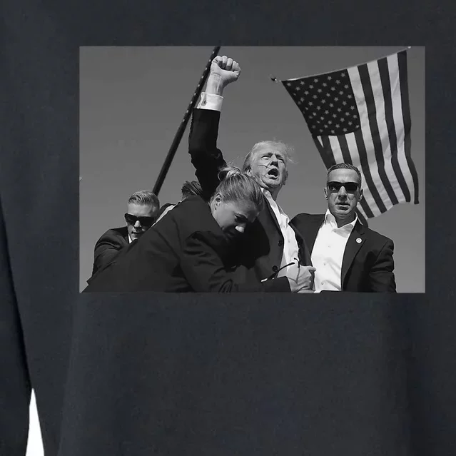 Donald Trump Fist Pump Cropped Pullover Crew