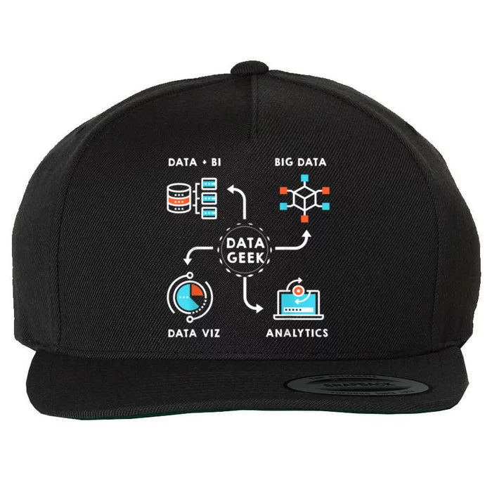 Data Tee For Data Scientists, Analysts And Engineers Wool Snapback Cap