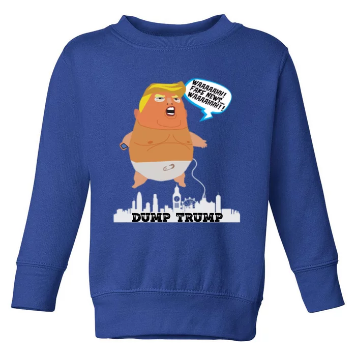 Dump Trump Fake News Gift Toddler Sweatshirt