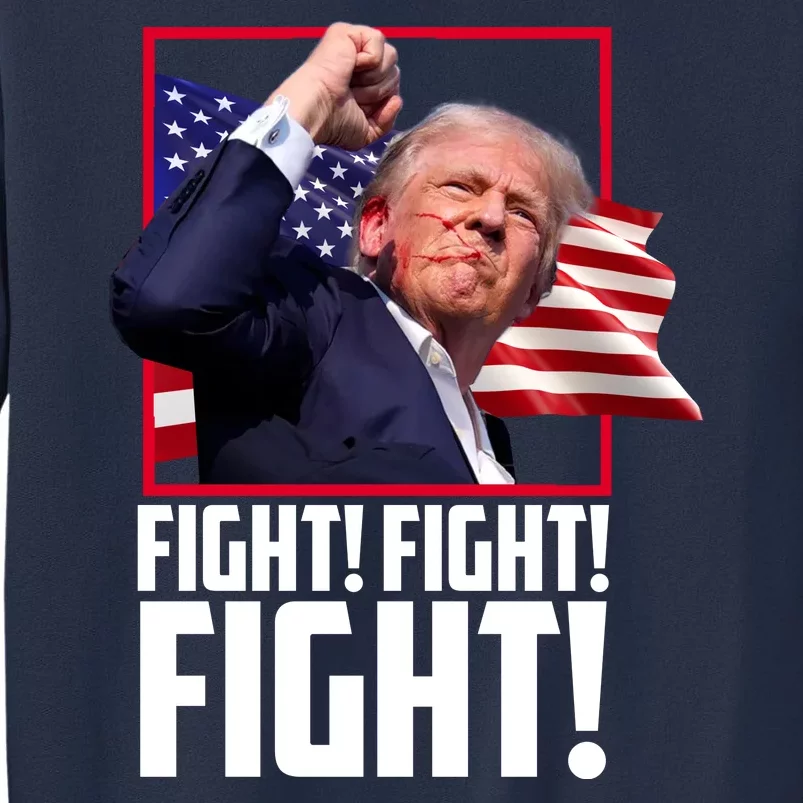 Donald Trump Fight Usa Pennsylvania Election Sweatshirt