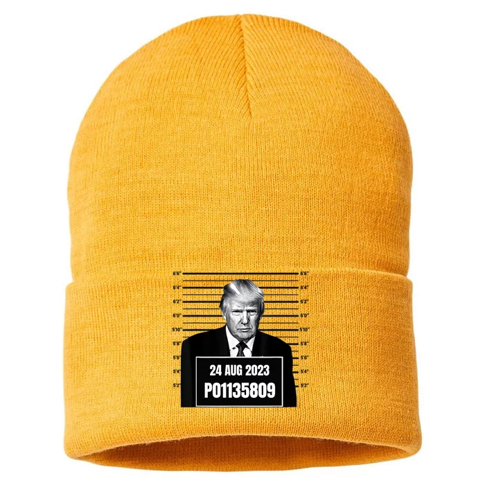 Trump 2024 Mugshot Trump Inmate P01135809 Sustainable Knit Beanie